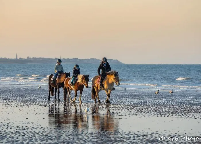 Ideal Couple ! Le Nid Du Bourg - Proche Et Commerces - Serviettes De Toilette & Linge De Lit Compris Apartment Ouistreham